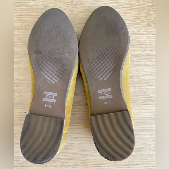 TOMS flats - Picture 4 of 9
